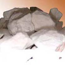 Burnt Lime Stone, For Water Treatment, Chemical Industry, Food Industry