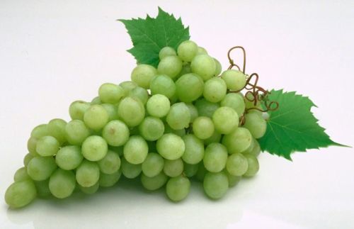 Fresh Green Grapes