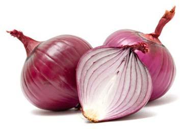 Fresh Red Onion