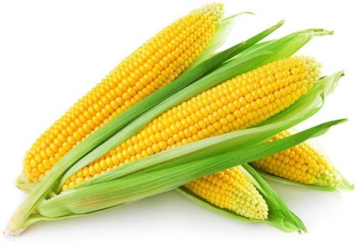 Yellow Corn