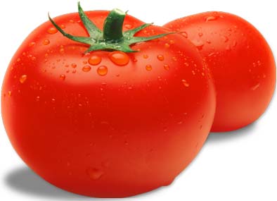 Fresh tomato, Shelf Life : 3-5 Days