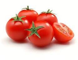 Fresh Tomato