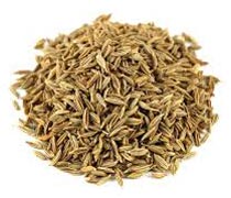 Cumin Seeds