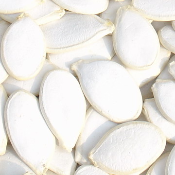 Snow White Pumpkin Seeds