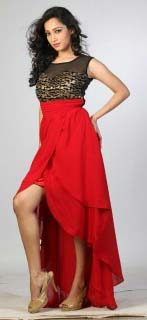 Ladies Tail Long Dress