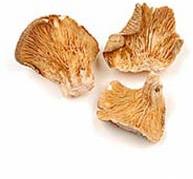 Dried Oyster Mushrooms