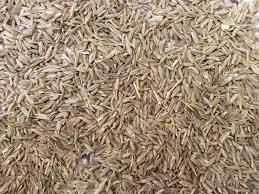 Cumin seeds, Packaging Type : PP Bags