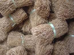 Vetiver Root