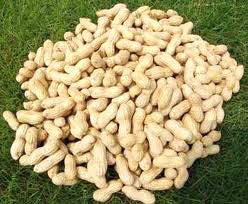 Shelled Groundnuts