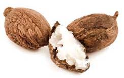 Shea Nut