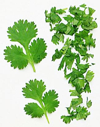 Coriander Leaves, Usage/Application : Use in Cooking
