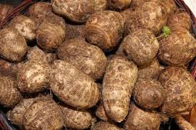 Taro Root
