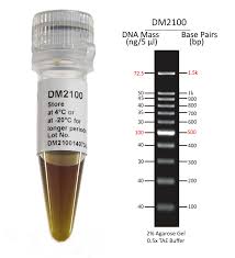 DNA Ladder