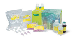 Rna Isolation Kit