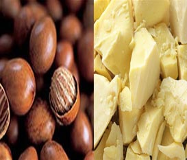 Shea butter