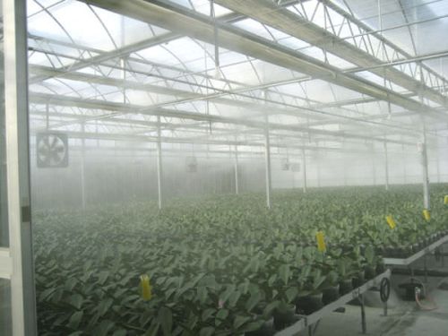 Fogging System