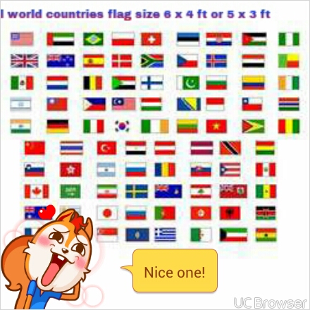 Foreign Countries Flag