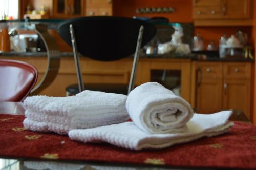 Bar Mop Dishcloths ( 12x12 - 3 Pack)