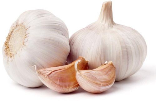 Fresh garlic, Country of Origin : India