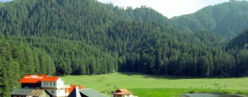 Tour Packages Services