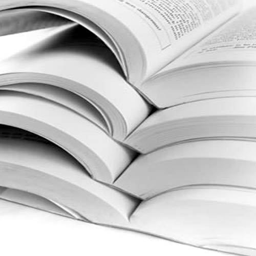 Foreign Language Translation Services