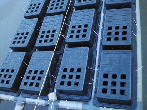 Rectangle Plastic Mud Crab Growing Boxes, For Aquaculture, Feature : Eco Friendly, Machinemade