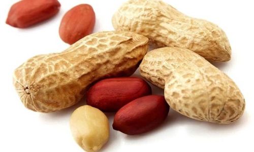 Shelled Peanuts