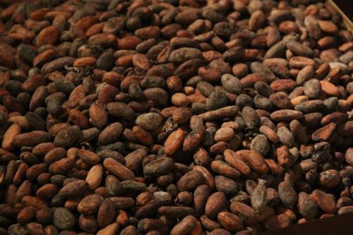 Cocoa beans, Number Of Flower : Food