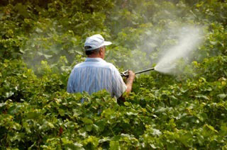 Bio Pesticides