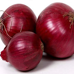 Organic Fresh Red Onion, For Cooking, Size : Large, Medium, Small