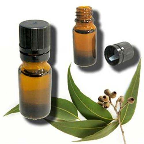 Pure Eucalyptus Oil