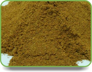 Cumin Powder