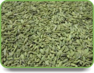 Fennel seeds, Storage : Cool & Dry Place