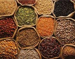 Indian pulses, Country of Origin : India