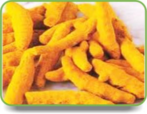 Turmeric finger, Application : Cooking