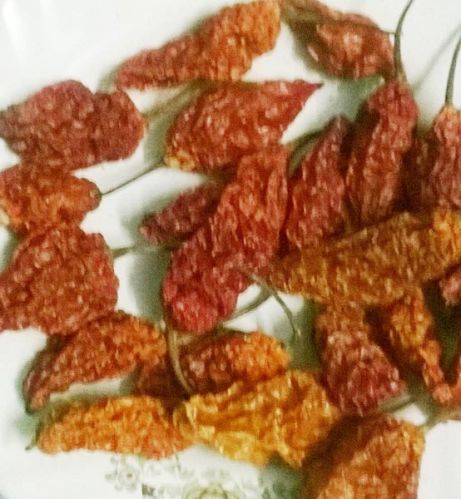 Dried Bhut Jolokia Chilli