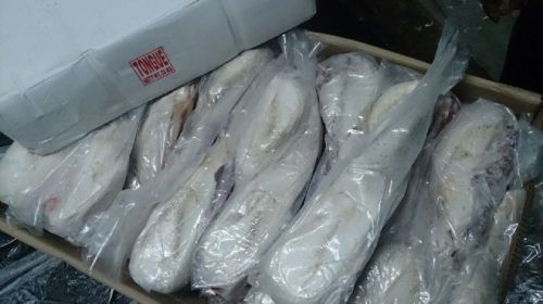 Frozen Buffalo Tongue, For Household