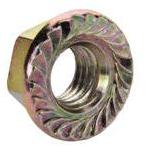 Flange Nuts