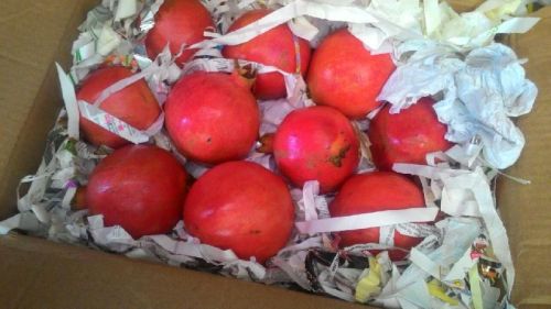 Fresh pomegranate, Packaging Size : 5-25kg