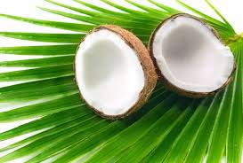Fresh coconut, Packaging Type : White