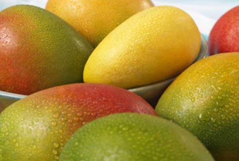 Fresh Mango,fresh Mango