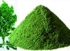 Moringa Leaf Powder, Packaging Type : Bag