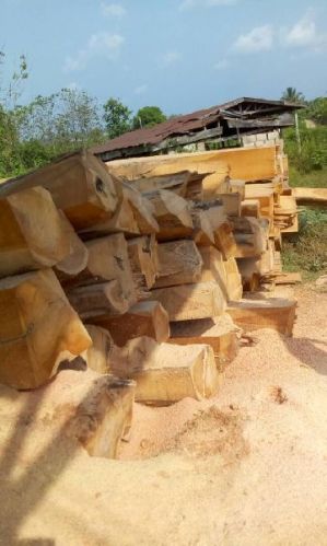 Teak wood logs, Packaging Type : Sapwood Paler.