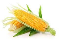 Yellow Corns