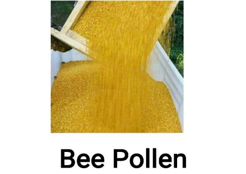 Bee Pollen