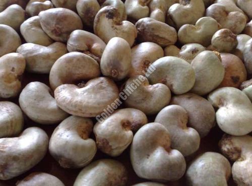Raw Cashew Nuts, Packaging Type : Pouch, Pp Bag