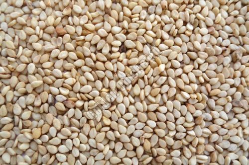 Natural White Sesame Seeds