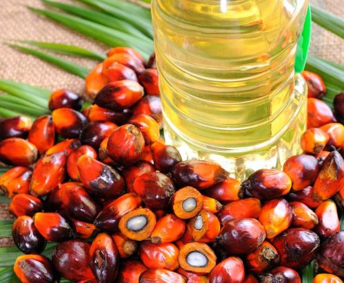 Organic Palm Oil, For Cooking, Form : Liquid