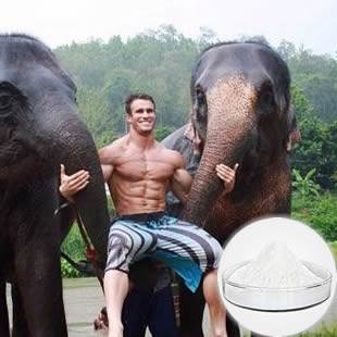 Trenbolone Enanthate, packing size : 10*1 ml