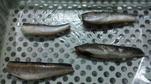 Frozen Seafood, Freezing Process : Cold Storage